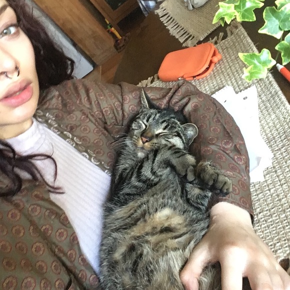 Meet your Posher, Kai - Picture 2 of 4